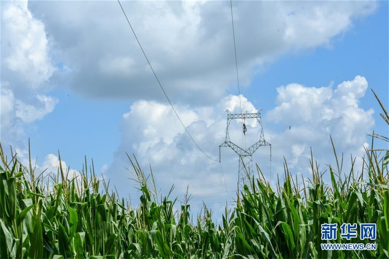 ???? ???? ??? ??? ? ?????? ?? ?? ??? ??? ??. [8? 6? ??/?? ??: ???]