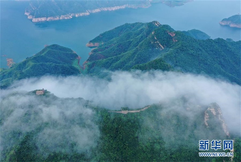 ???? ??? ????? ???? ?? ??? ?? ?? [8? 25? ?? ??/?? ??: ???]