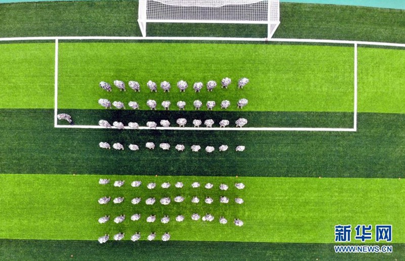 ???? ?? ????? ???? ???. [9? 15? ?? ??/?? ??: ???]