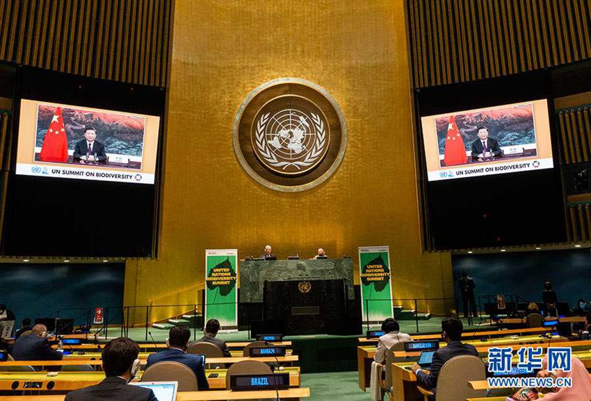 [?? ??: ???(新華網)]