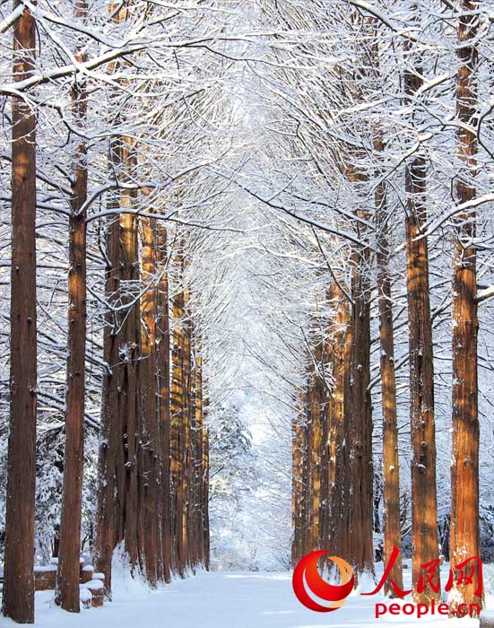 ??? ??? ??? [?? ??: ???]