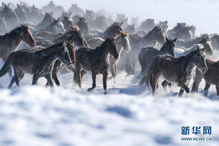 ???? ????????? ??? ???? ??? [2020? 12? 31? ??/?? ??: ???]