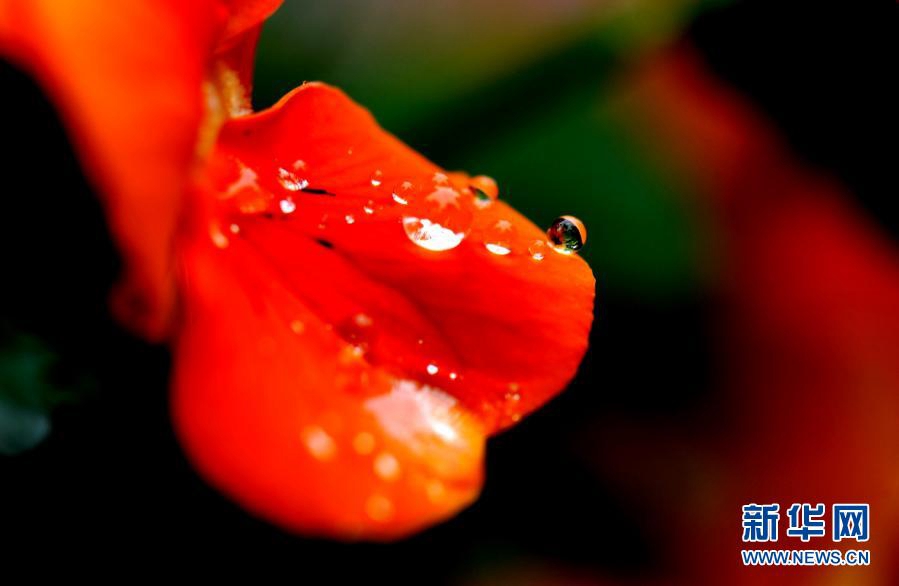 ? ? ? ??? ??(閔行)? ?? ?? [?? ??: ???]