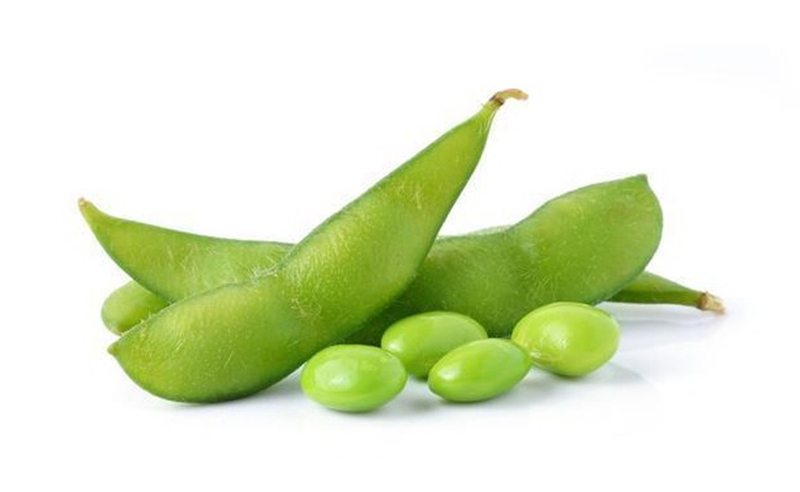 ???? [?? ??: CCTV??]