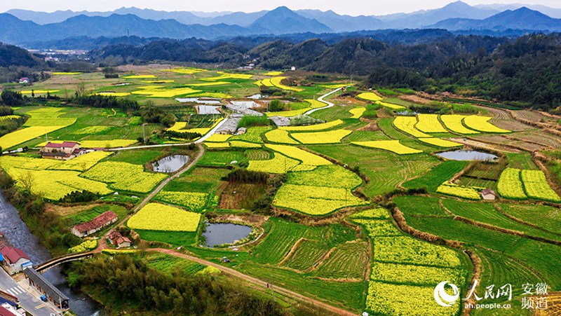 ????? ??? ?? ?? ???? [?? ??/?? ??: ???]