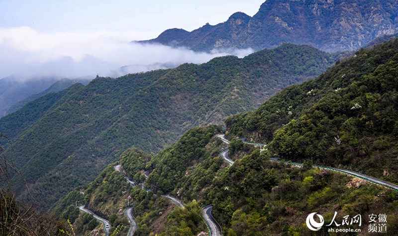 ????? ??? ????(六道灣) ??[?? ??/?? ??: ???]