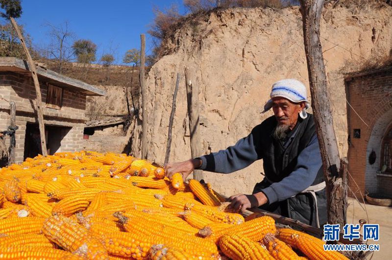 ??? ????? ???? ???? ??. [2010? 11? 5? ??/?? ??: ???]