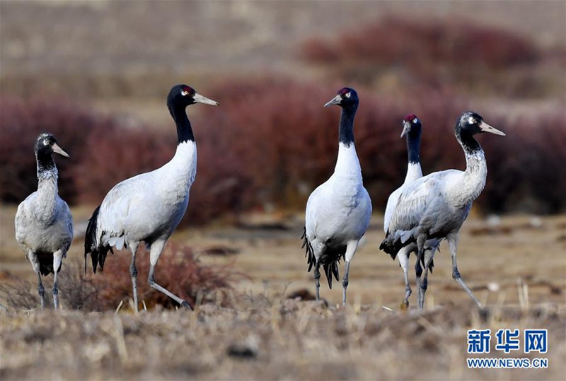 ???????? ???? ?????? [3? 14? ??/?? ??: ???]