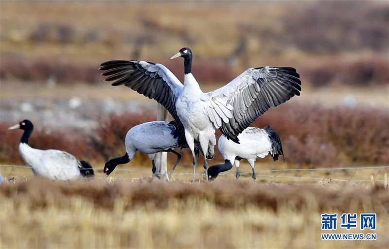 ???? ?????? ??????? ?????? [3? 14? ??/?? ??: ???]