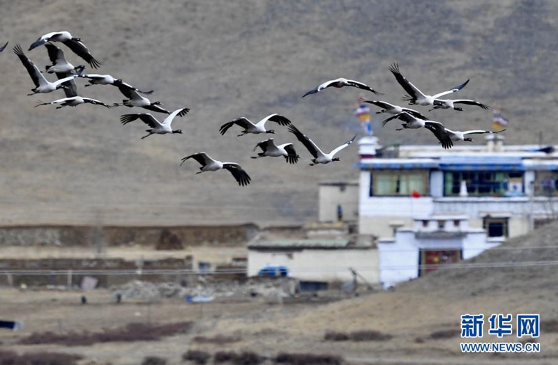 ?? ?? ?? ?? ?????? [3? 14? ??/?? ??: ???]