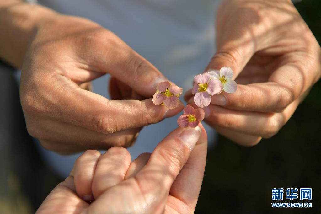 ??? ??? ??? ??? [3? 24? ??/?? ??: ???]