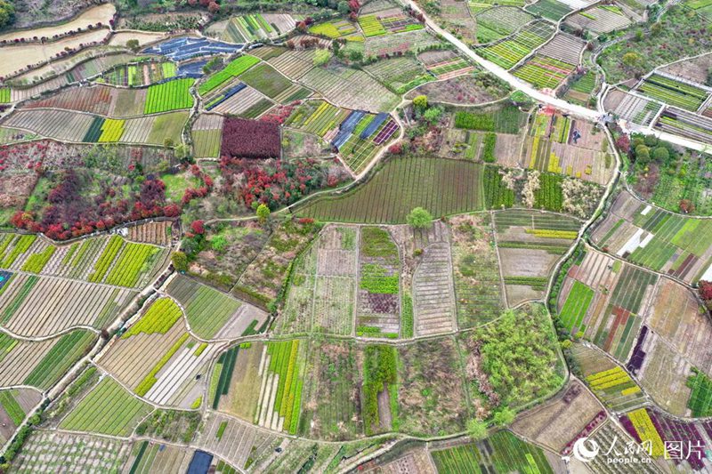 3? 23?, ??? ????? ????? ??? ??? ??? ???? ????. [?? ??: ???] 