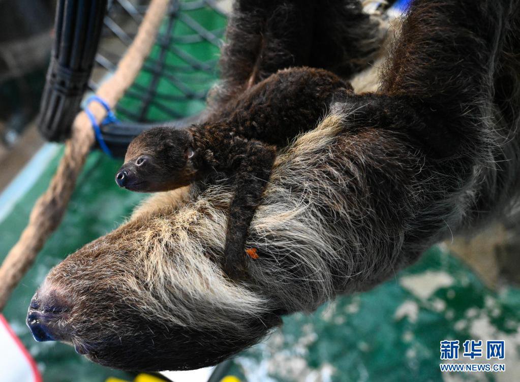 ???? ??? ?? [?? ??: ???]