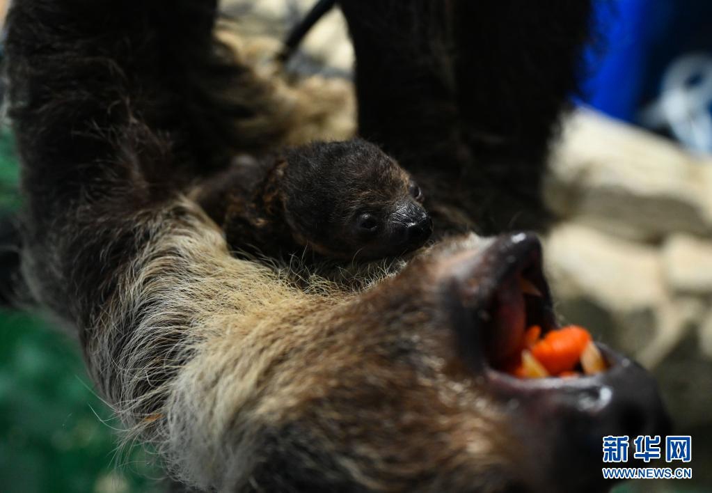 ???? ??? ?? [?? ??: ???]