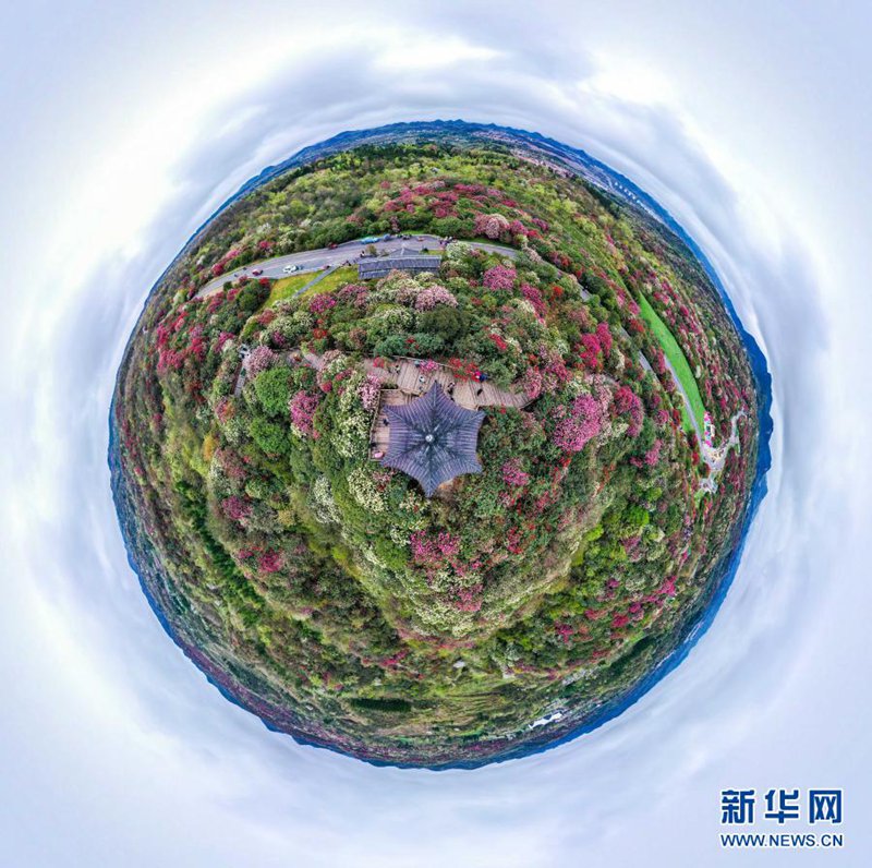 ??? ??? ?? [3? 21? ?? ??/?? ??: ???]