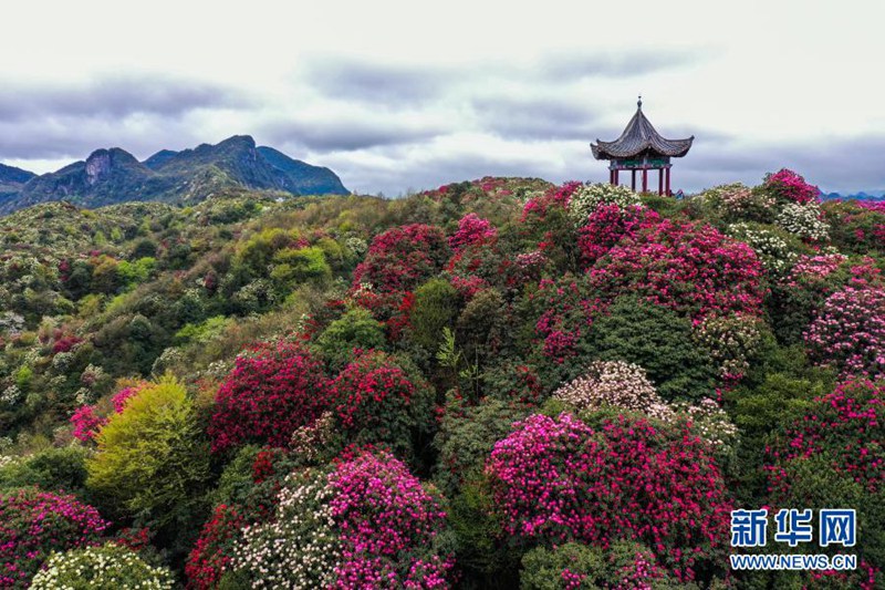 ???? ?????? ?? ??? [3? 21? ?? ??/?? ??: ???]