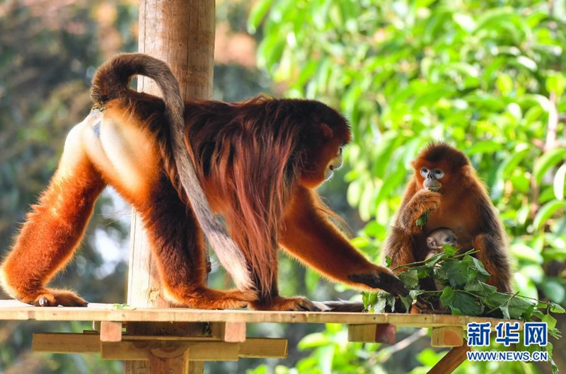 ?? ???? ?? ???, ??? ? ? ? ? ?? ???? ?? ????. [3? 17? ??/?? ??: ???]