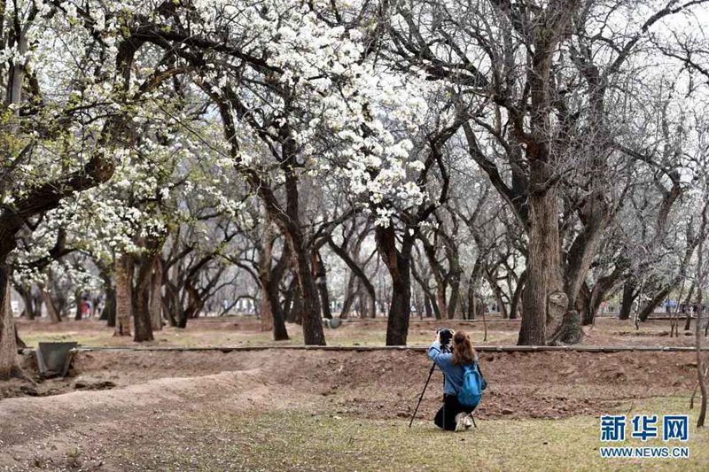 ?? 3?, ???? ??(寧夏) ???(中衛)? ???(南長灘)??? ??? ??? ?? ??. [?? ??: ???]