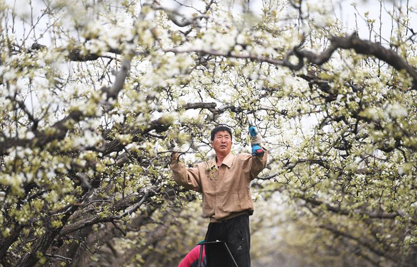 ??? ????(雄安新區) ???(雄州)? ???(馬蹄灣)? ??? ???? ????? ????. [4? 5? ??/?? ??: ???]