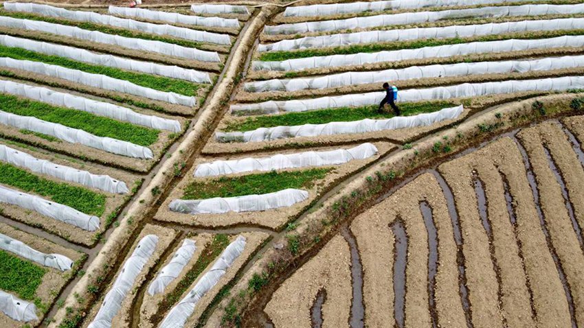 ??? ??(龍巖)? ??(永定)? ???(培豐)??? ?? ??? ????. [4? 5? ?? ??/?? ??: ???]