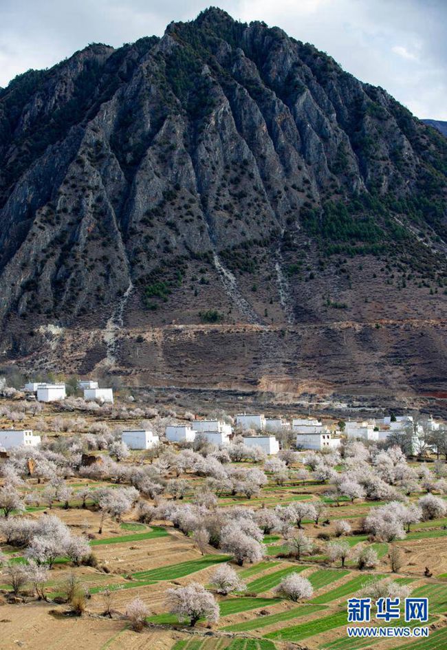 ??? ???? ????? ?? ???? ?? [4? 3? ??/?? ??: ???]