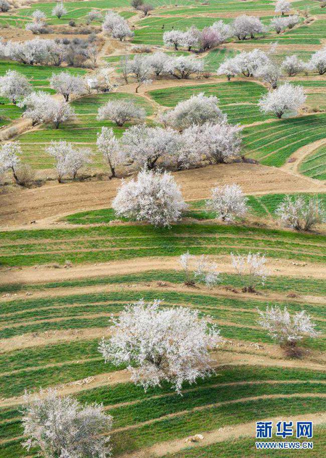 ???? ??? ?? [4? 3? ?? ??/?? ??: ???]