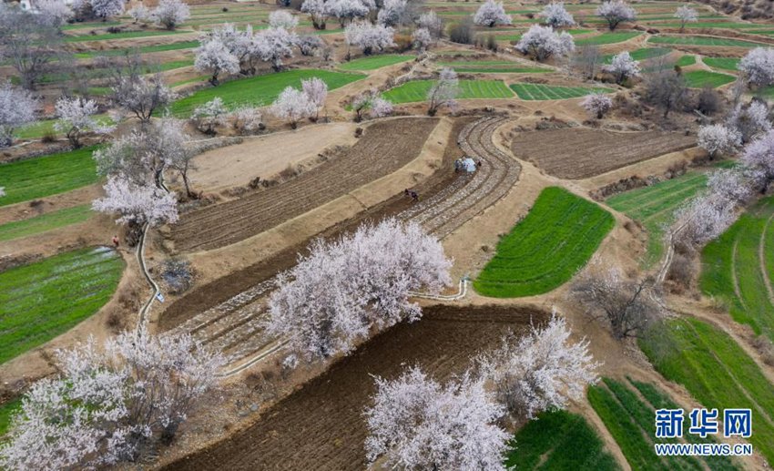 ??? ?????? ?? ??? ????. [4? 3? ?? ??/?? ??: ???]