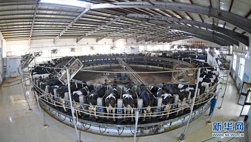 ?? ???(中衛)? ??(沐沙) ?? ???? ?? ????? ??? ?? ??. ?? ??? 7? ?? ? ? ?? ??? ??? ????. ?? ?? ?? ??? ??? ???? ??? ??? ???? ????? ????? ‘????’?? ???. [2020? 9? 14? ??/?? ??: ???]