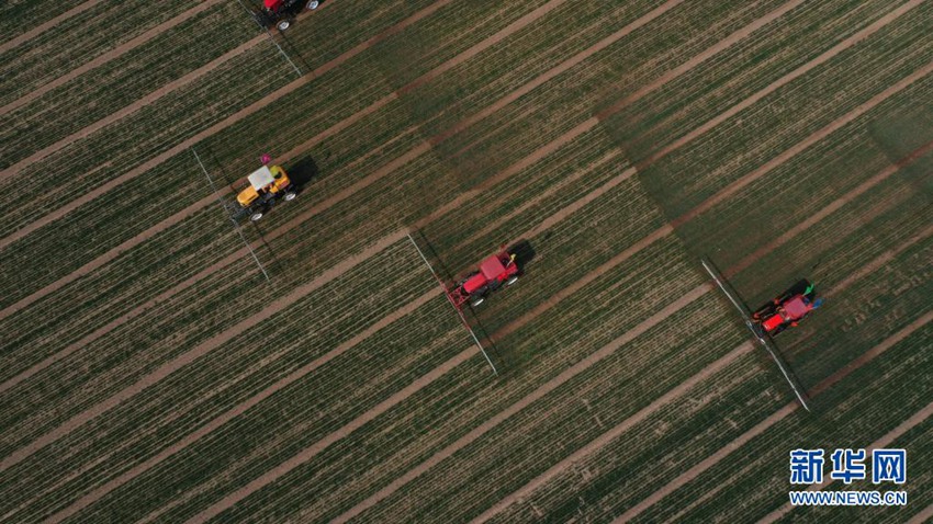 ???? ???(河北) ??(辛集)?? ????(試炮營)? ???? ?? ??? ????. [2020? 3? 17? ?? ??/?? ??: ???]