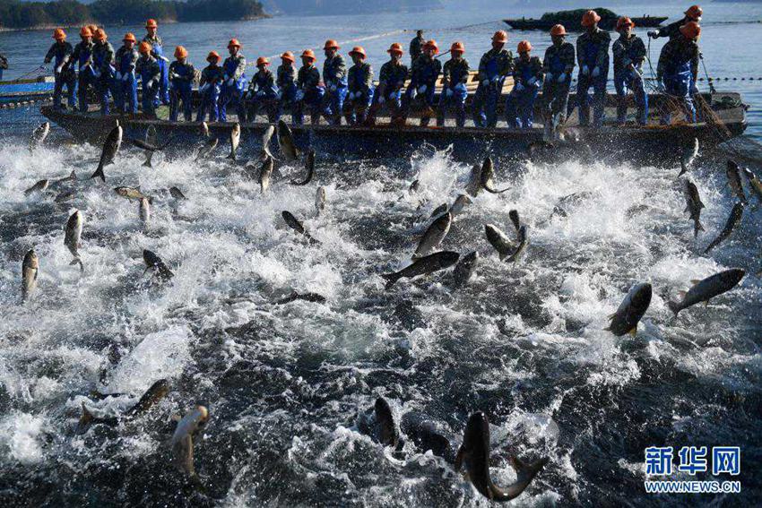 ????(千島湖) ???? ?? ?? ?????? ???. ?? ?? ???? ??? ??? ???? ‘??, ??, ??, ??, ??, ??, ??, ????’? ??? ??? ????? ??? ??? ? ??? ??? ?? ????. [2018? 11? 28? ??/?? ??: ???]