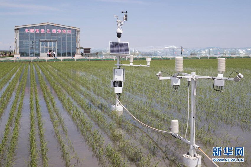 ????(黑龍江) ??(富錦)? ?????????? ?? ???? [2020? 6? 12? ??/?? ??: ???]