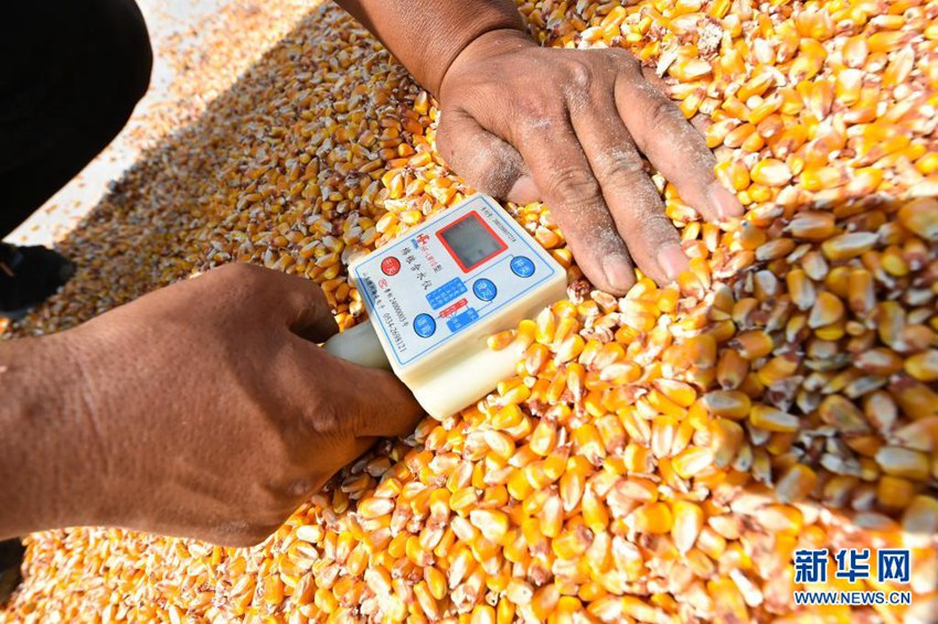 ??(山西) ??(運城)? ??(萬榮)? ??(南張)? ????(太趙)?? ?? ??(李挺) ?? ????? ???? ???? ????. ?? ?? ??? GPS ????, ??? ????, ??? ?? ?? ?? ?? ???? ??? ?? ??? ?? ???? ??? ??? ??? ??? ‘???’? ????? ????. [2020? 9? 20? ??/?? ??: ???]