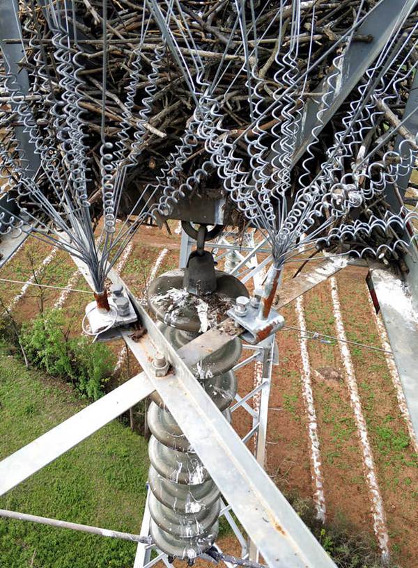 ???? ??? ??? ??? ???? ??? ????. [?? ??: ???]