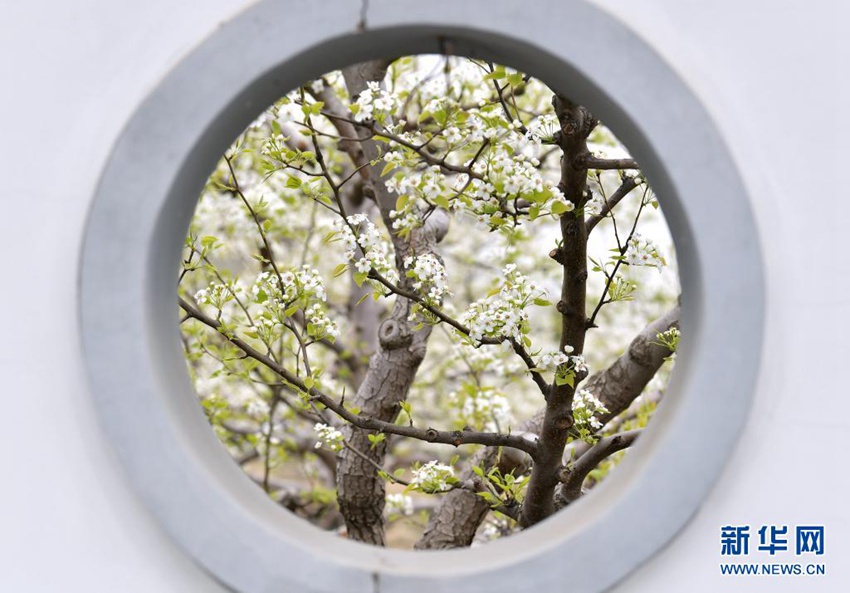 ??? ?????? ?? [4? 11? ??/?? ??: ???]