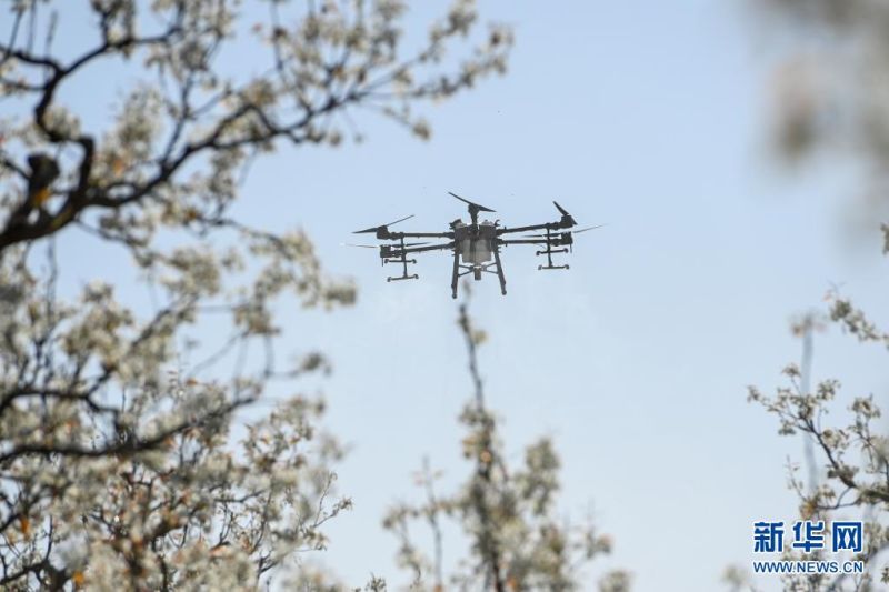 ???? ???? ?? ??? ?? ???. [4? 11? ??/?? ??: ???]