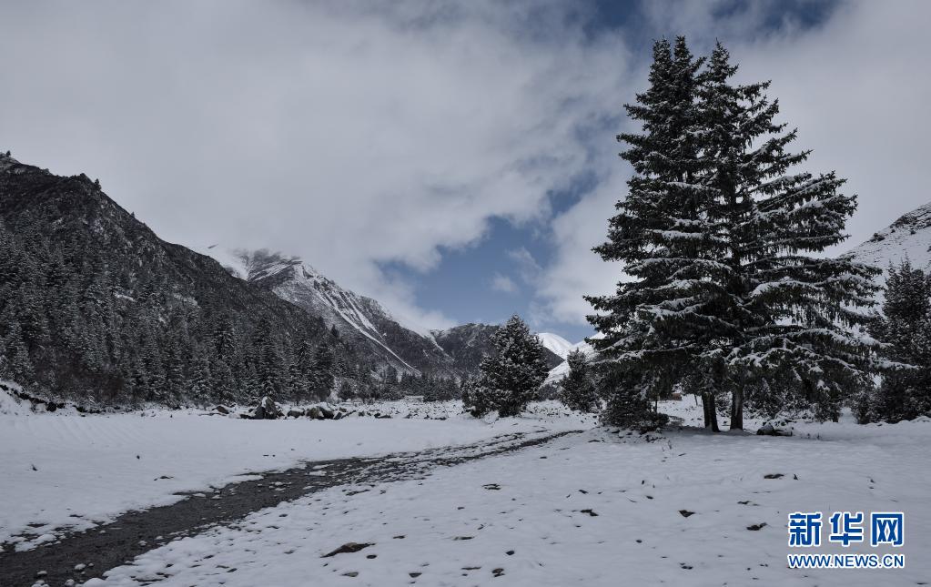 [4? 24? ??/?? ??: ???]