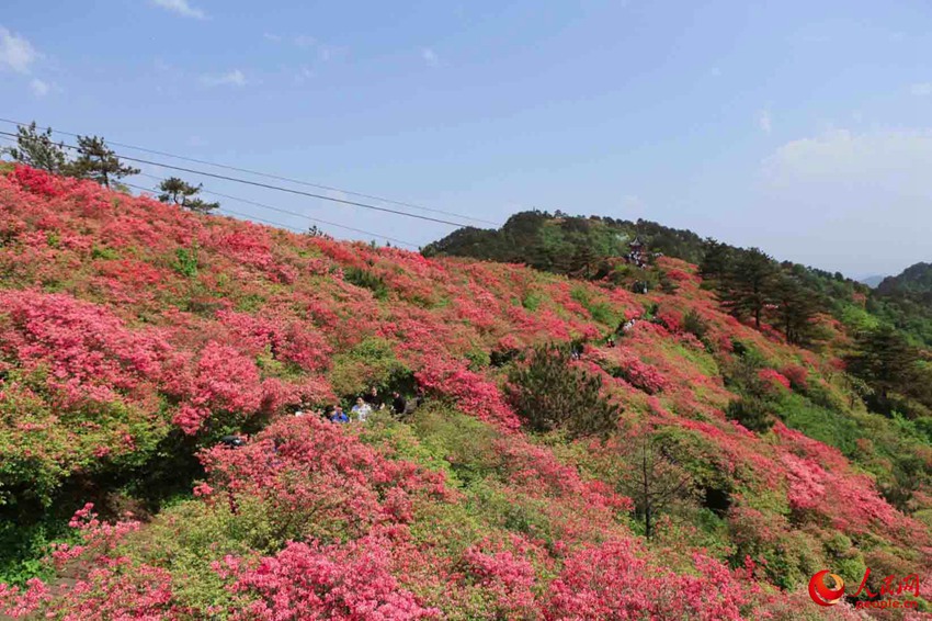 ???? ?????? ?? ??. [?? ??: ???]