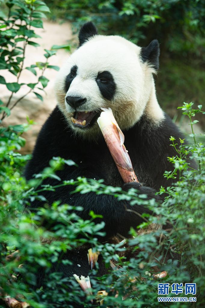 ?? ‘??’? ???? ?? ??. [5? 1? ??/?? ??: ???] 