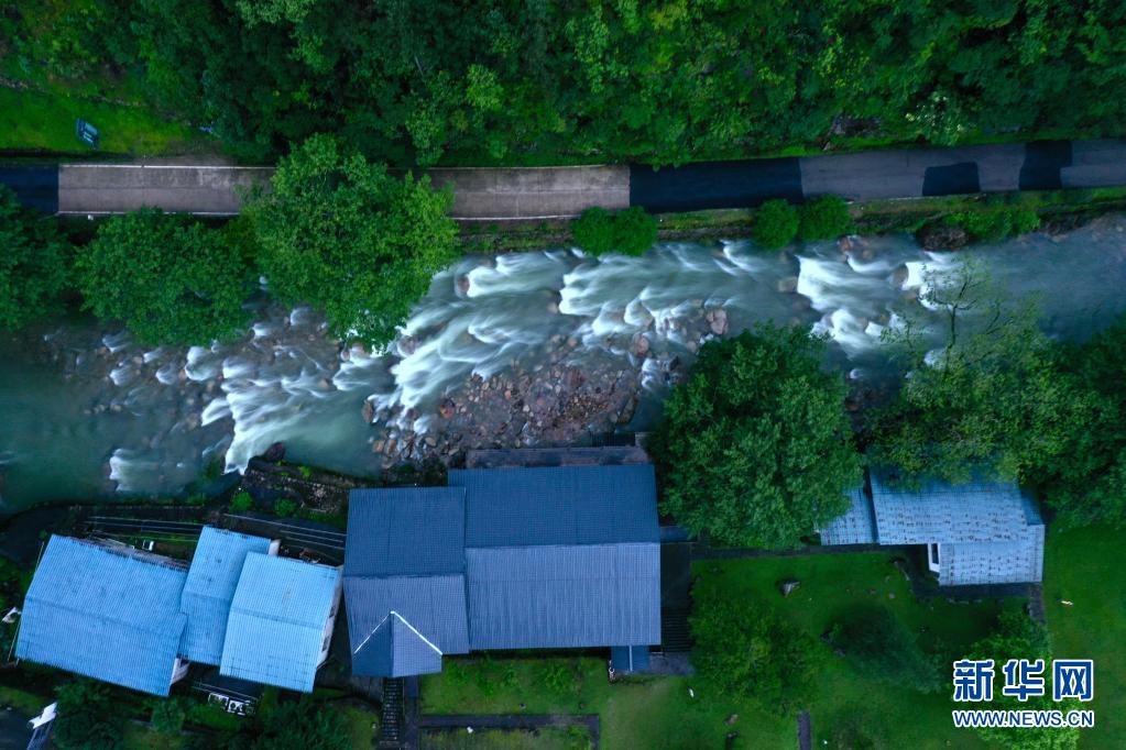 ???????? ??? ??? [5? 17? ?? ??/?? ??: ???]