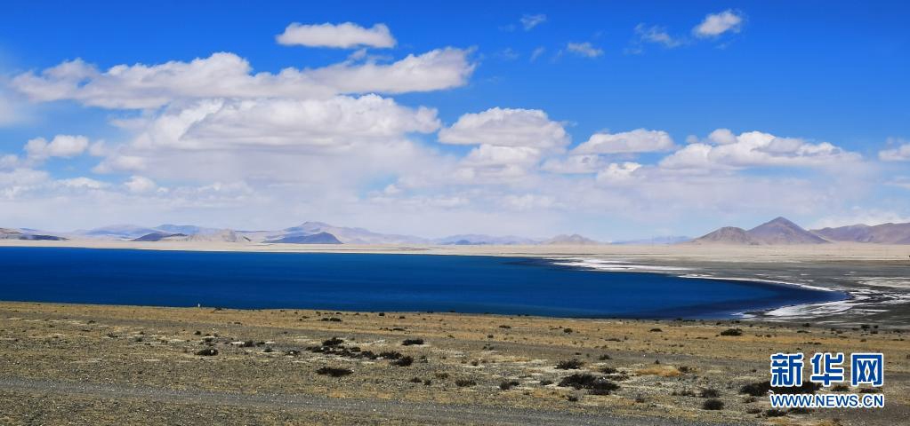 ????(佩枯錯)? [5? 14? ??/?? ??: ???]