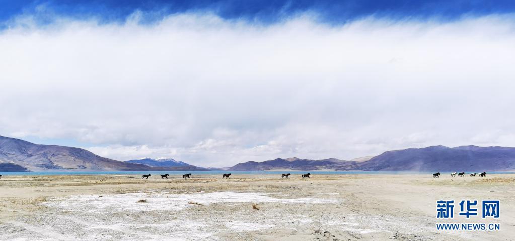 ????? ????? ??? ???. [5? 14? ??/?? ??: ???]