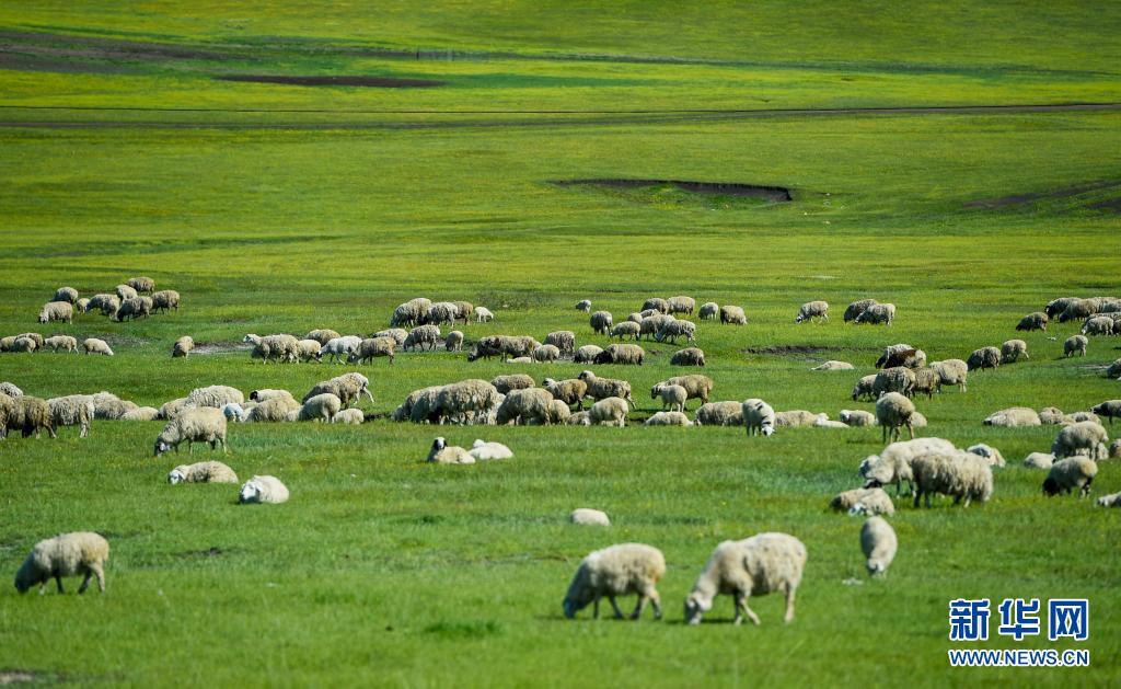 ??? ????? ???? ??? ?? ??. [6? 6? ??/?? ??: ???]