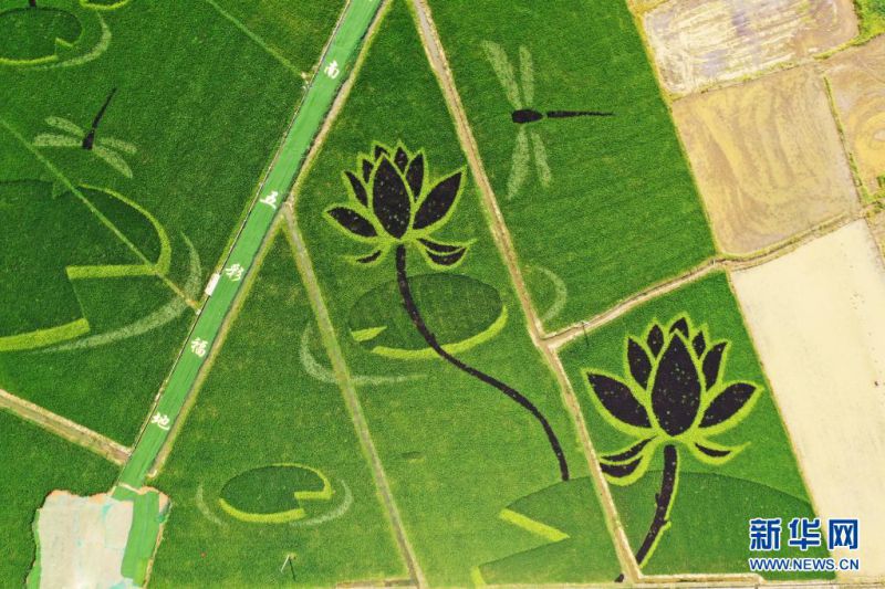 ? ???? ?? [7? 16? ?? ??/?? ??: ???]