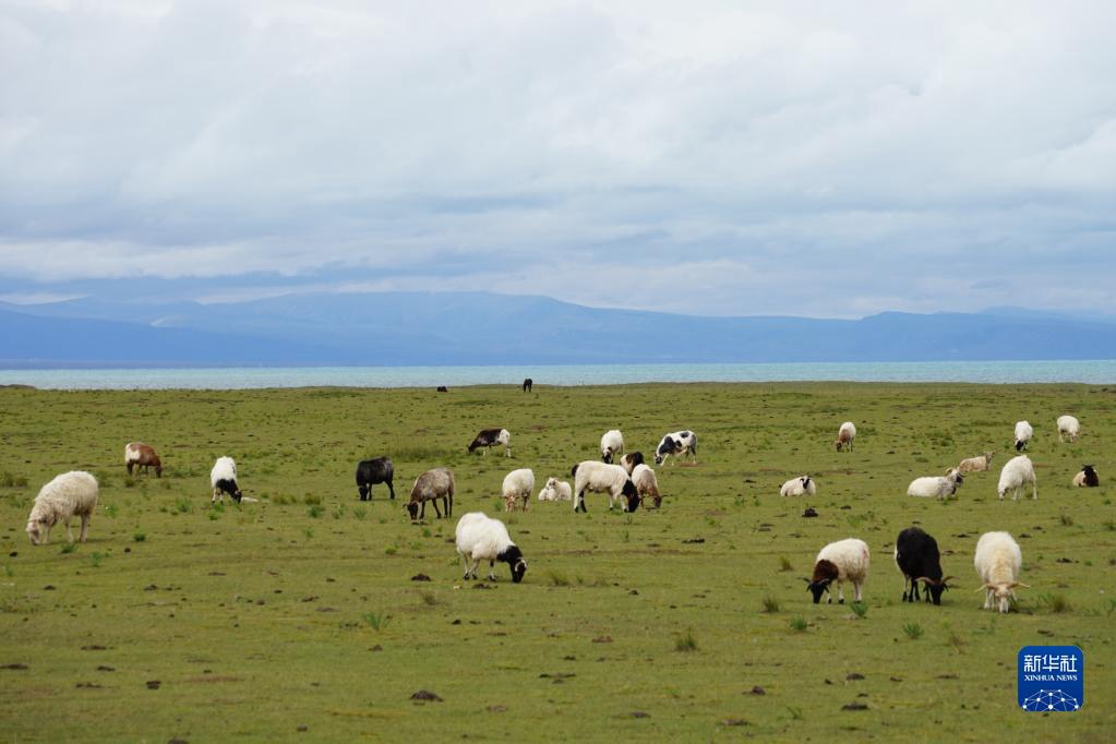 ? ? ? ?? ? ?????? ??? ??? ?? ??. [8? 30? ??/?? ??: ???]