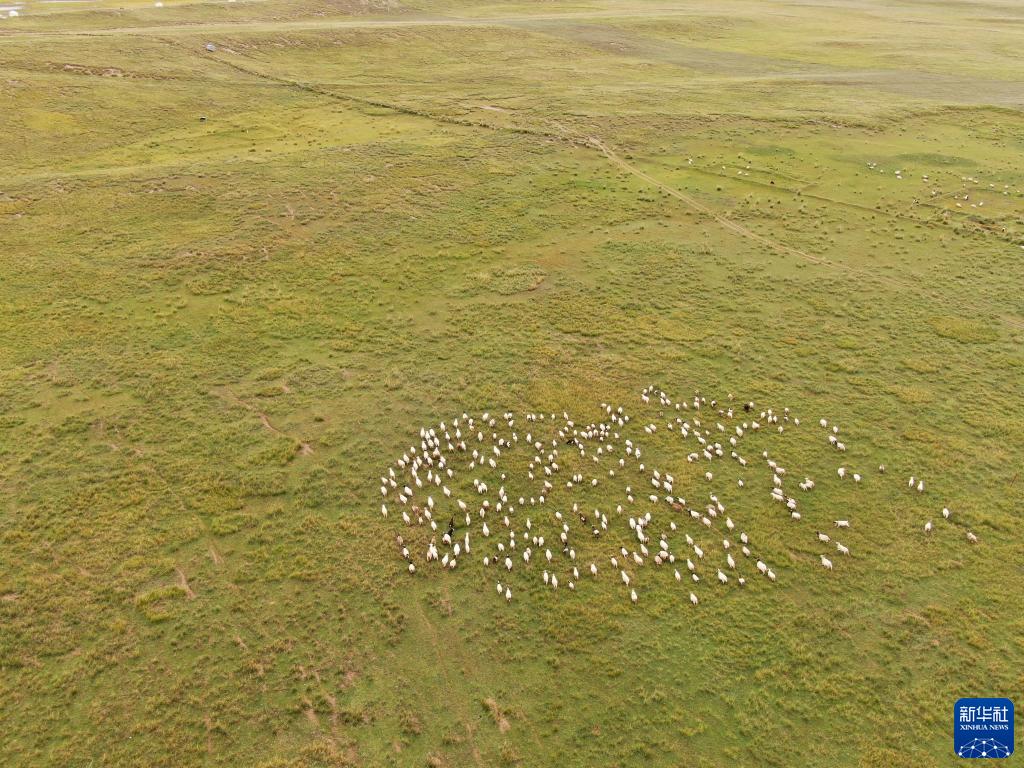 ? ?? ???? ???? ?? ???? ??? ?? ??. [?? ??: ???]