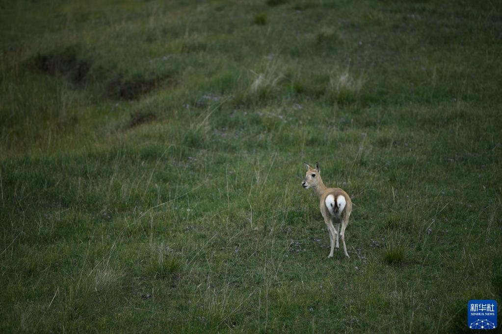 ?????? ??? ???? ?? ???? ????. [?? ??: ???]