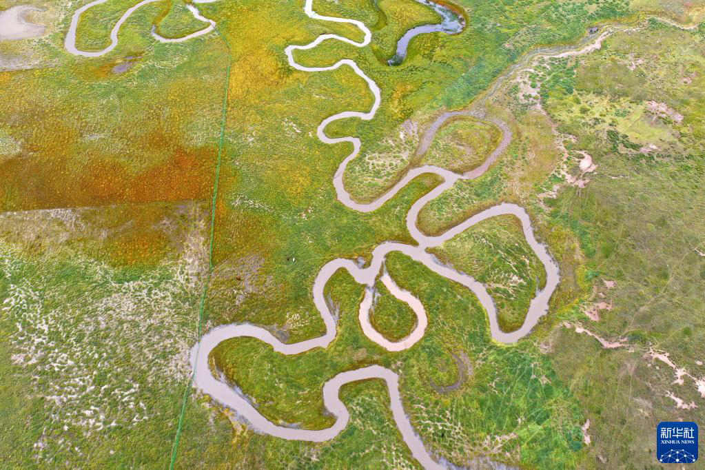 ????? ???? [?? ??: ???]