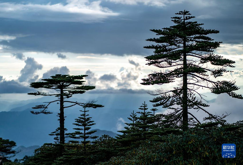 ????? ?? [9? 22? ?? ??/?? ??: ???]