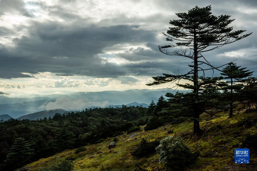 ????? ?? [9? 22? ?? ??/?? ??: ???]