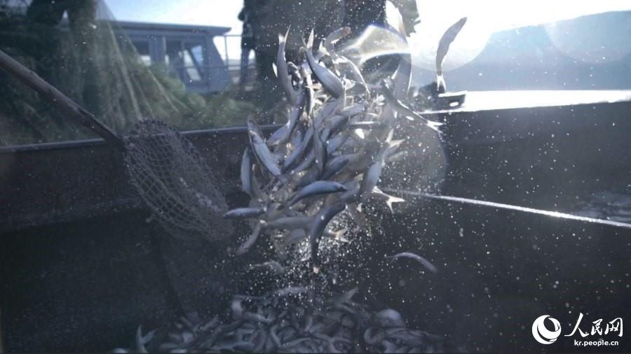 10? 23? ?? ????? ???? ????? ??? ?? ???(紅尾魚)? ???? ??. ???? ???? ???? ????? 2019? ????? 10? ?? ???? ?????. [??: ??(蘇群)/?? ??: ???]